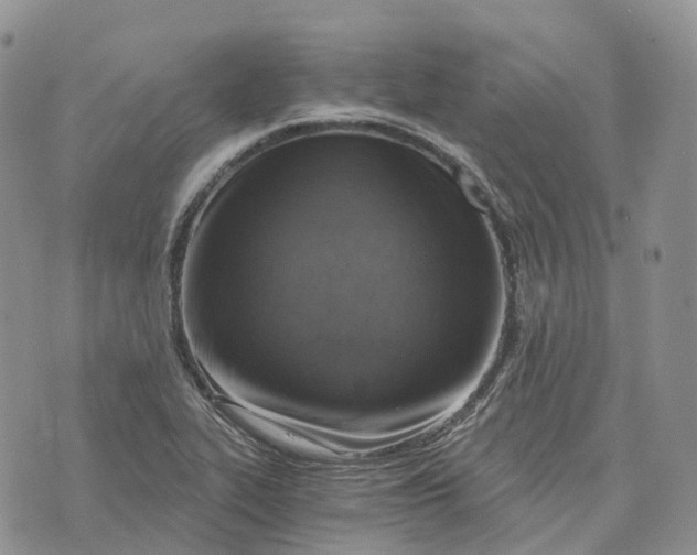 X0000072951319200608111616