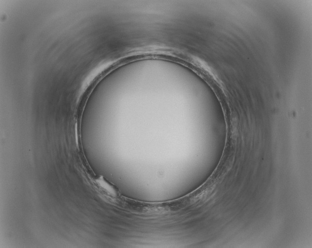 X0000072951320200608111616