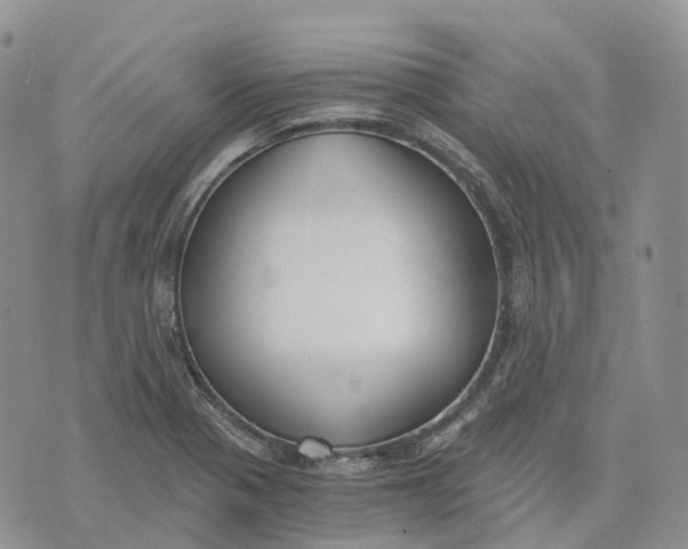 X0000072951321200608111616