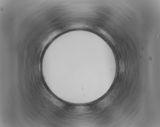 X0000072951322200608111616