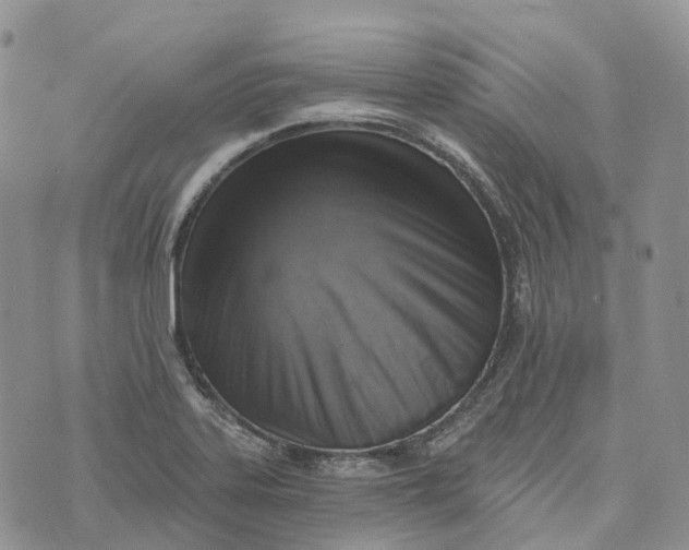 X0000072951323200608111616