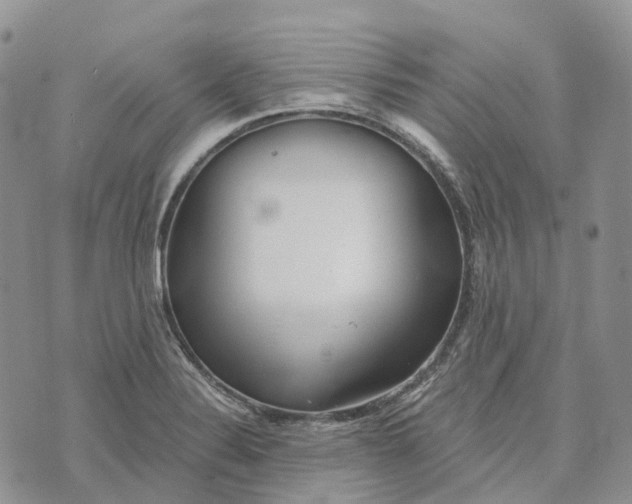 X0000072951324200608111616