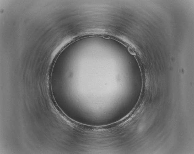 X0000072951325200608111616