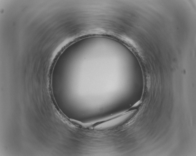 X0000072951326200608111616