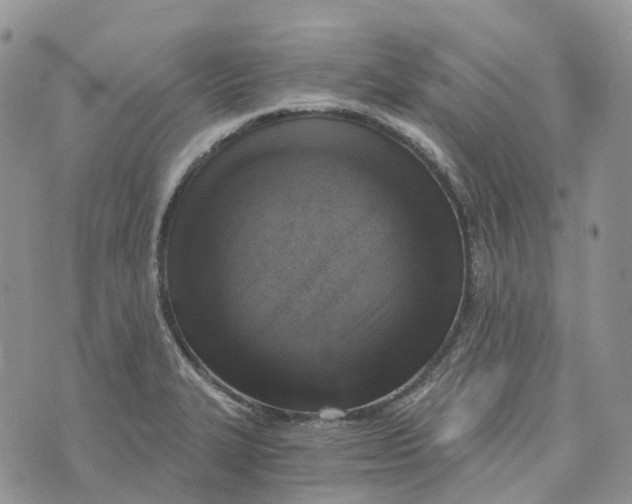 X0000072951327200608111616