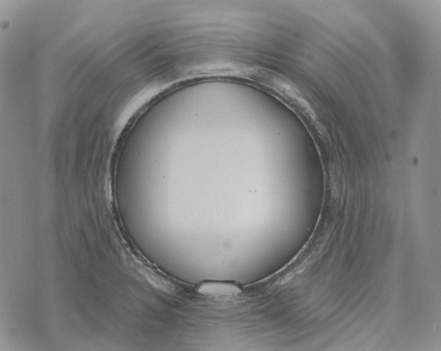 X0000072951328200608111616