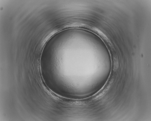 X0000072951329200608111616