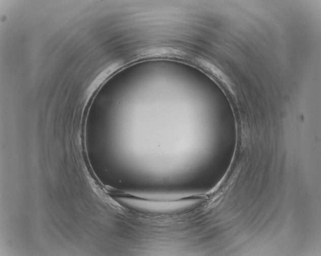 X0000072951330200608111616