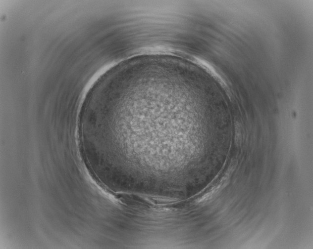 X0000072951331200608111616