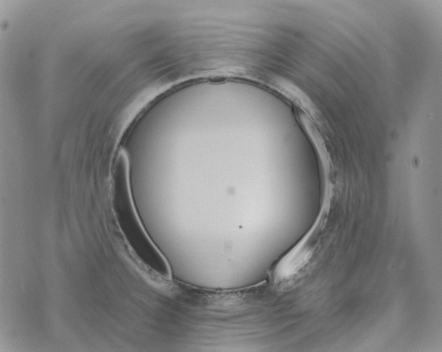 X0000072951332200608111616