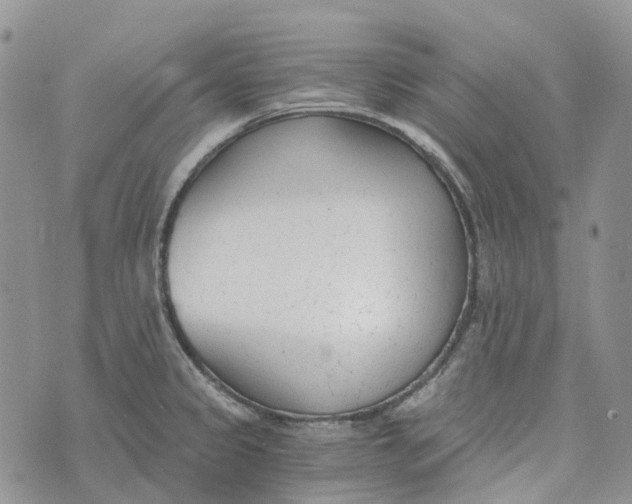 X0000072951333200608111616