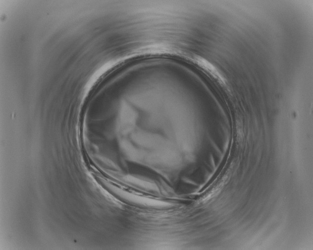 X0000072951334200608111616