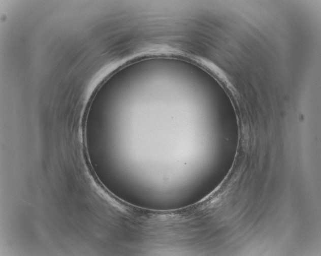 X0000072951335200608111616