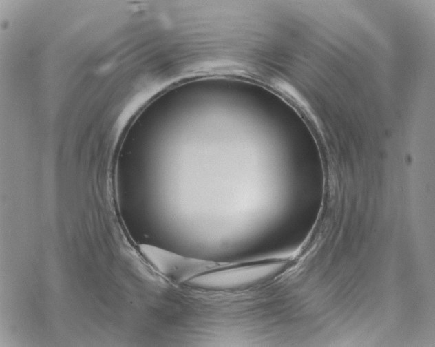 X0000072951336200608111616