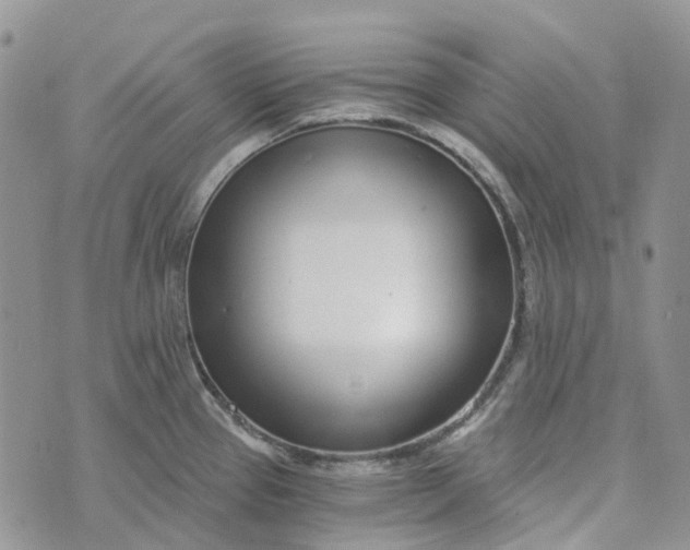 X0000072951337200608111616