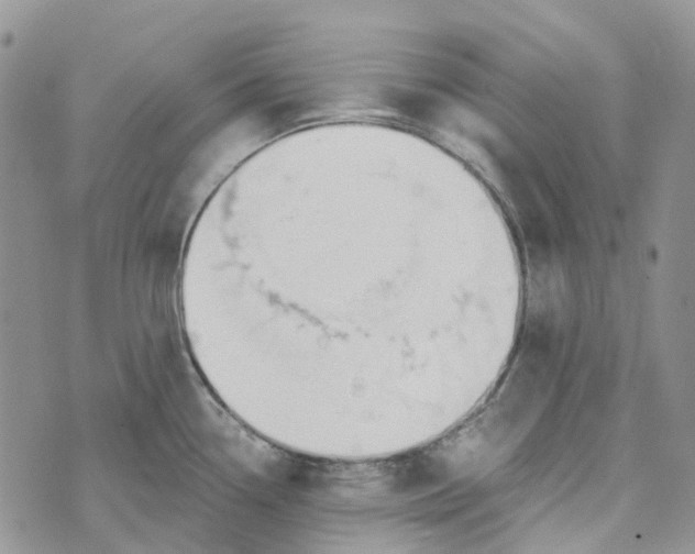 X0000072951338200608111616