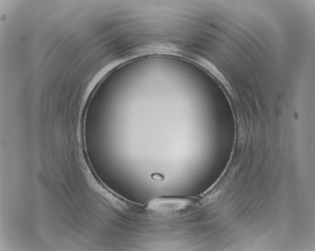 X0000072951339200608111616