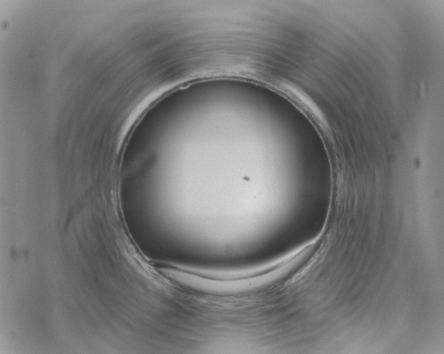 X0000072951340200608111616