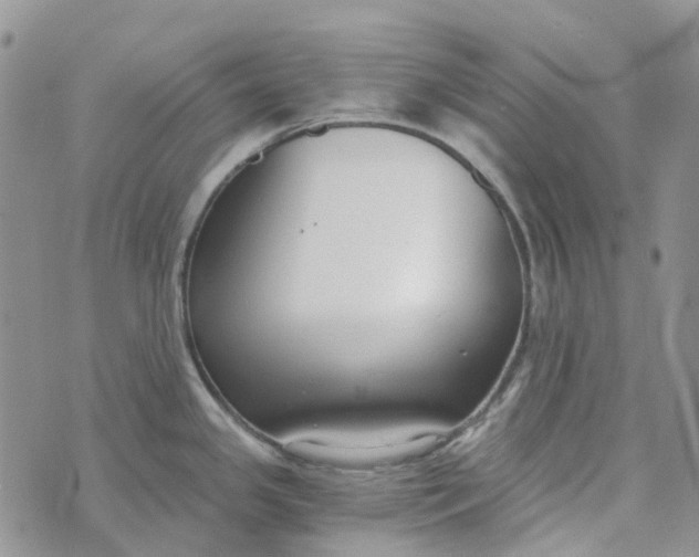 X0000072951341200608111616