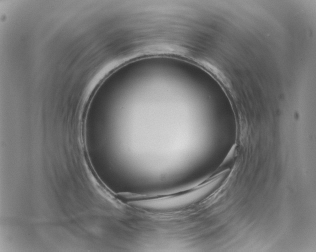 X0000072951342200608111616