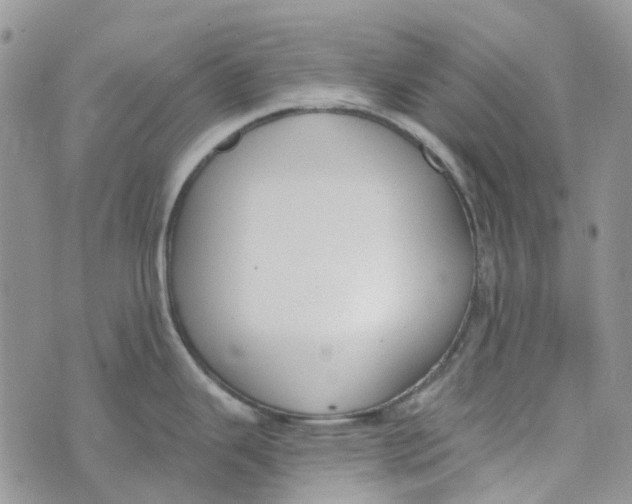 X0000072951343200608111616