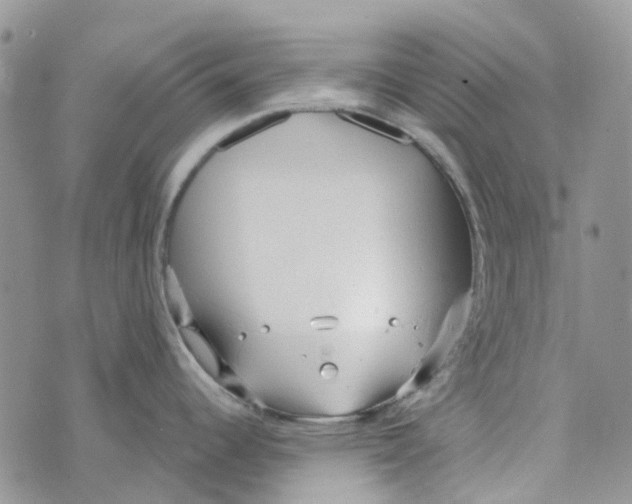 X0000072951344200608111616