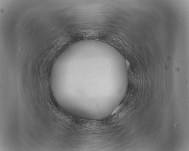 X0000072951345200608111615