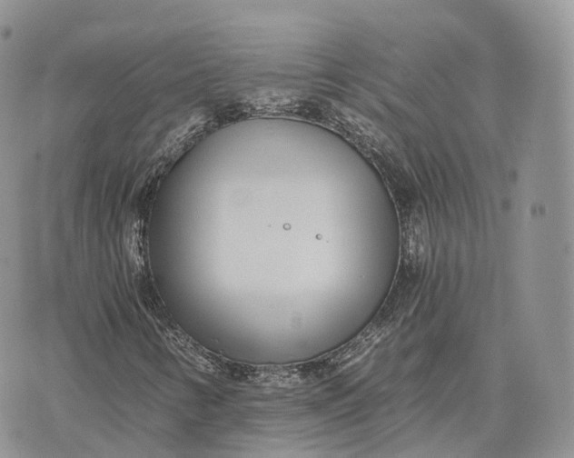 X0000072951346200608111615