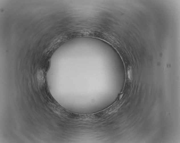 X0000072951347200608111615