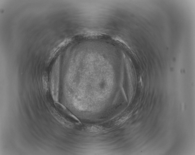 X0000072951348200608111615