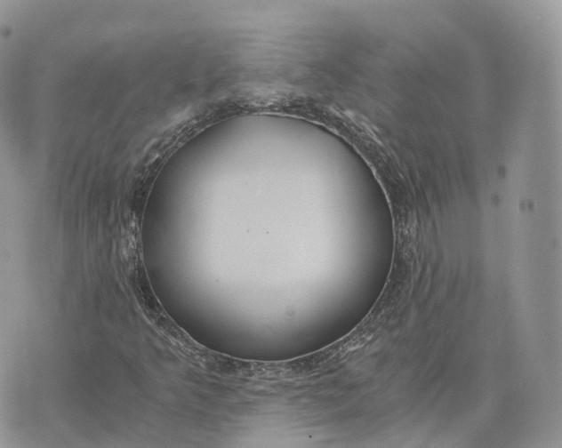 X0000072951349200608111615