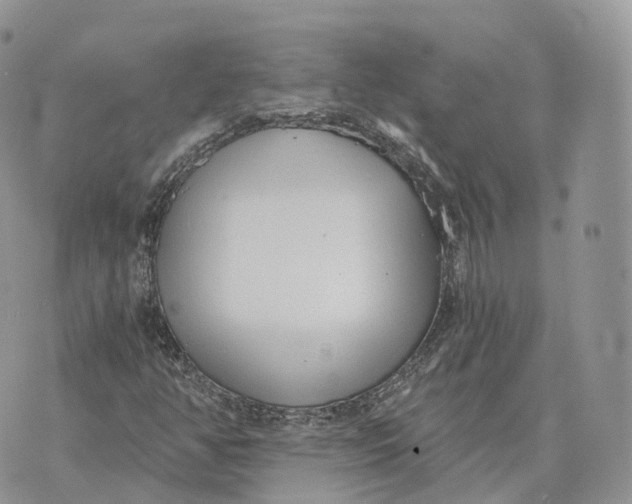 X0000072951350200608111615