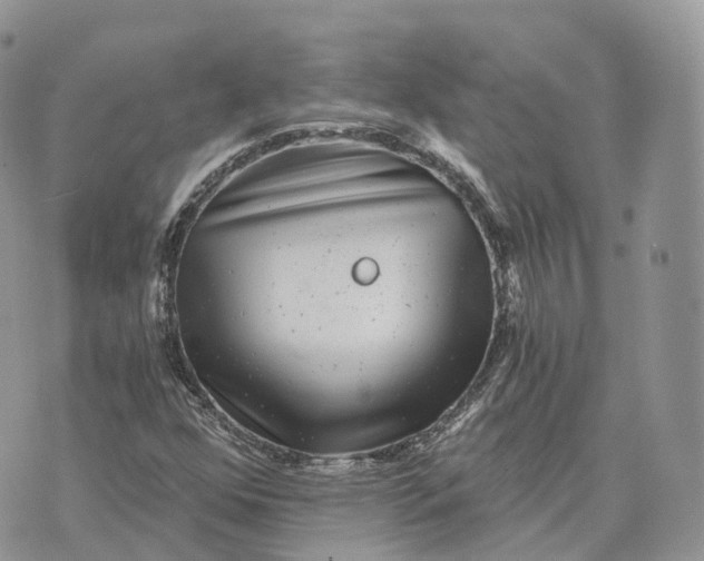 X0000072951352200608111615