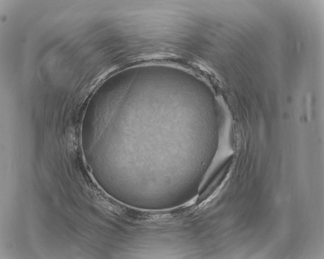 X0000072951353200608111615