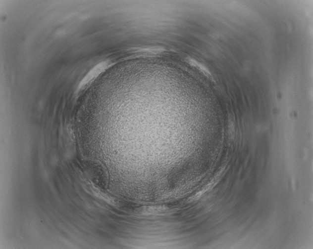 X0000072951354200608111615