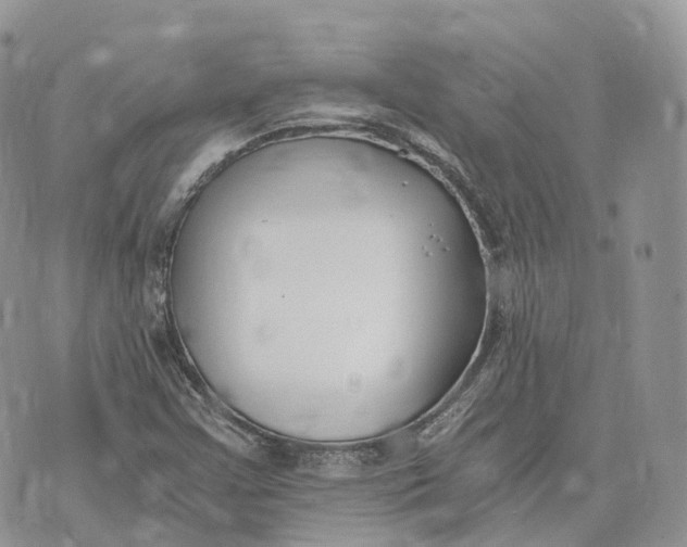 X0000072951355200608111615