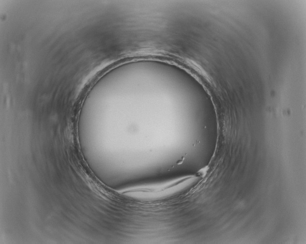 X0000072951356200608111615