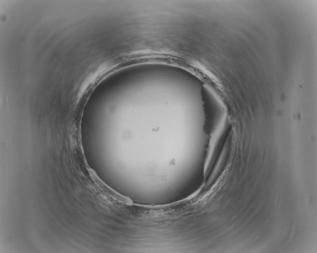 X0000072951357200608111615