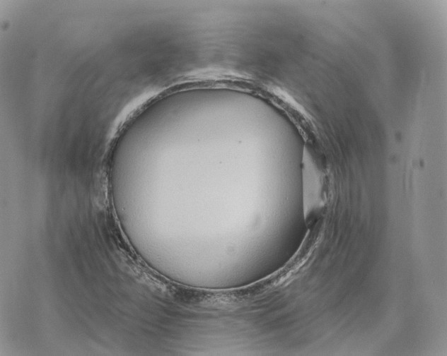 X0000072951358200608111615