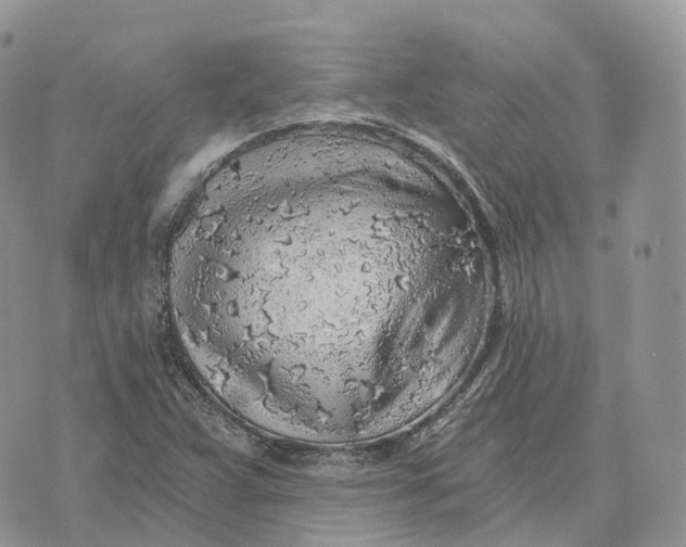 X0000072951359200608111615