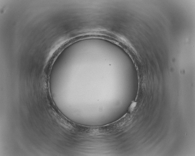 X0000072951360200608111615