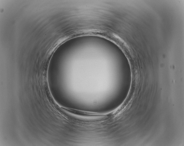 X0000072951361200608111615