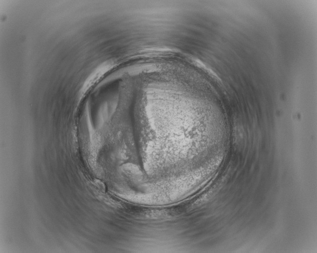 X0000072951362200608111615