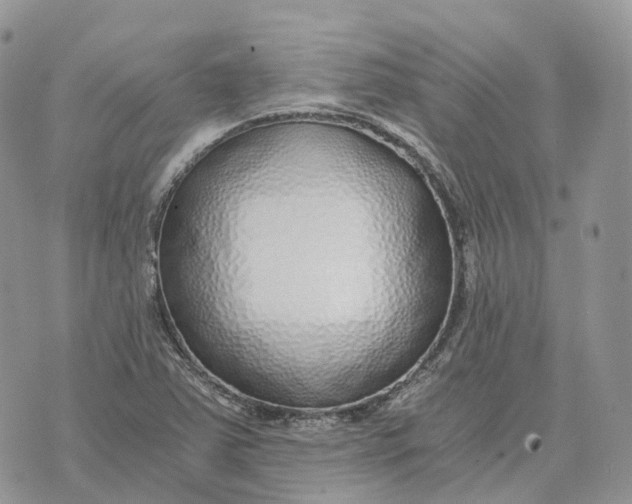 X0000072951363200608111615