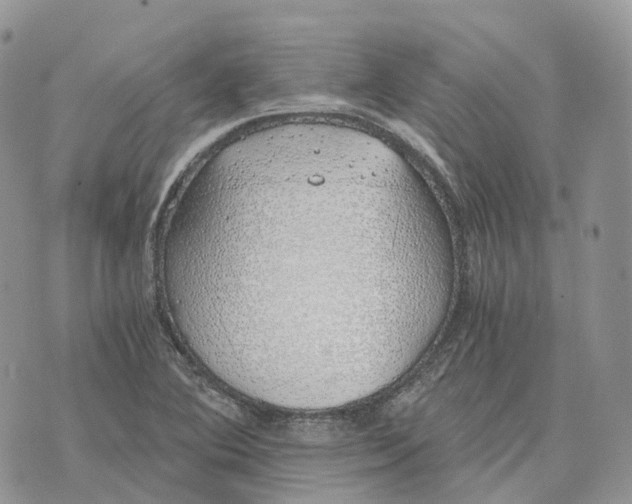 X0000072951364200608111615