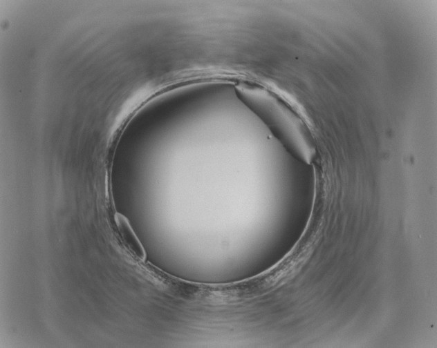 X0000072951365200608111615