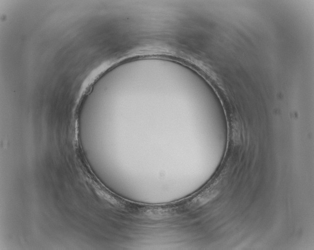 X0000072951366200608111615