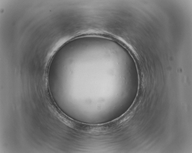 X0000072951367200608111615