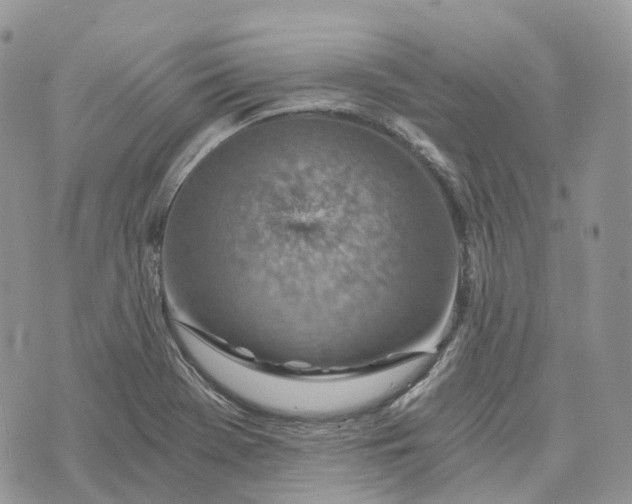 X0000072951369200608111615