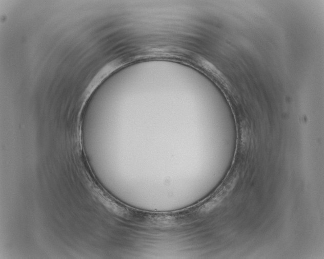 X0000072951370200608111615